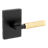 CombinedImage we_gla101-pvl-rct-514-4_c1